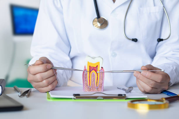 Best Emergency Denture Repair in Bronson, MI